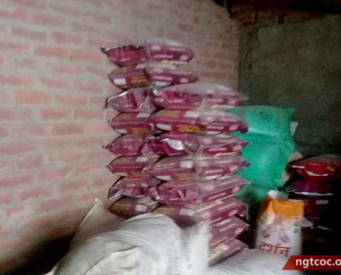 Flood-relief-program-ngtcoc-2